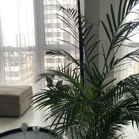New Flat Mayk Minsk 65 Smart Tv Panoramic View Of The River Mińsk